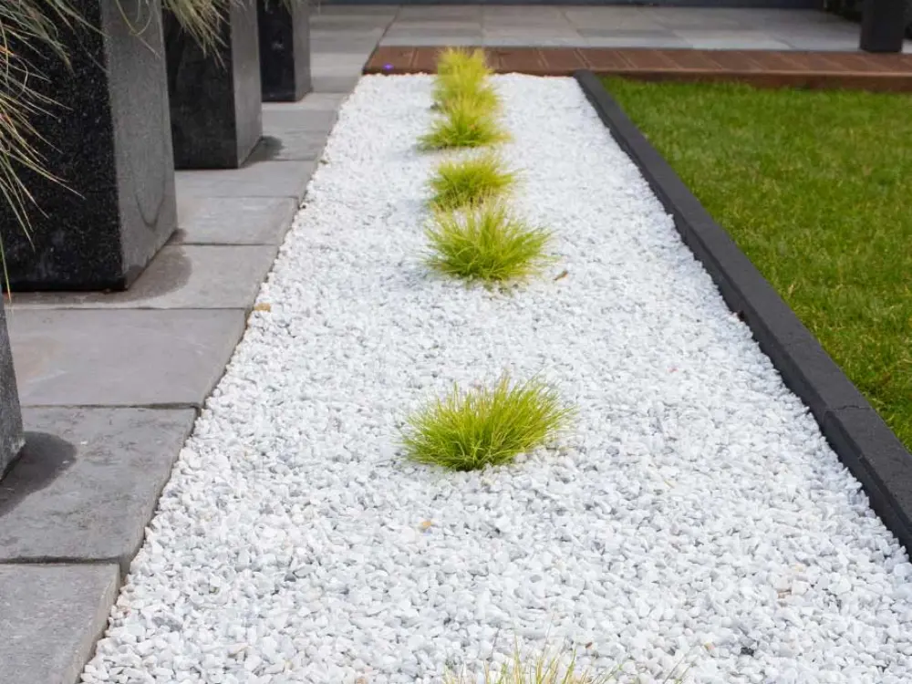 Diseño de sendero moderno con gravilla blanca para jardín. Muestra una hilera de pasto decorativo en el centro, separada por una línea de gravilla. Ideal para paisajismo, disponible a través de Escombros Áridos.