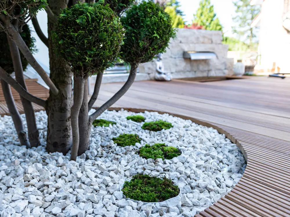 Detalle de paisajismo moderno de Escombros Áridos, mostrando un alcorque circular en un deck de madera, relleno con grava blanca angular y pequeños círculos de musgo verde alrededor de un árbol topiario.