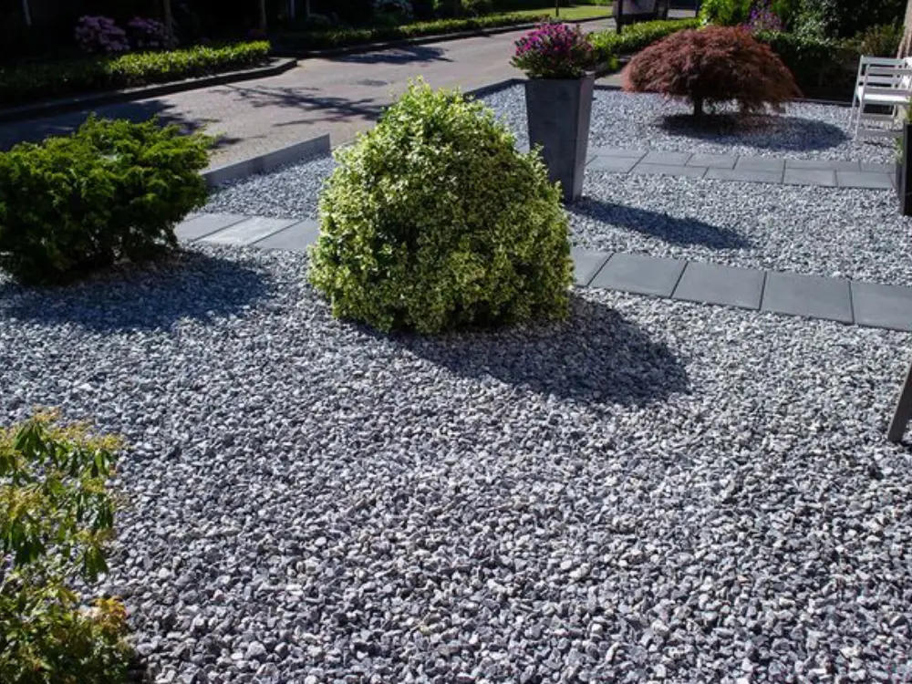 Diseño de paisajismo en un jardín moderno que utiliza grava gris como cobertura principal del suelo. Se aprecian arbustos decorativos y un sendero de baldosas oscuras, creando un espacio de bajo mantenimiento y gran estética, posible de realizar con los áridos de Escombros Áridos.