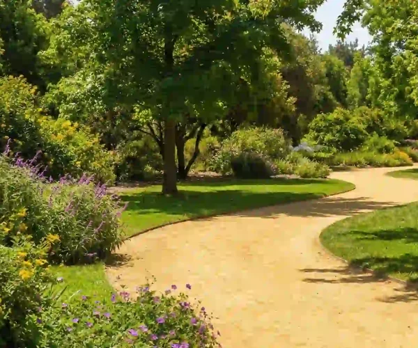 maicillo_amarillo_card_1