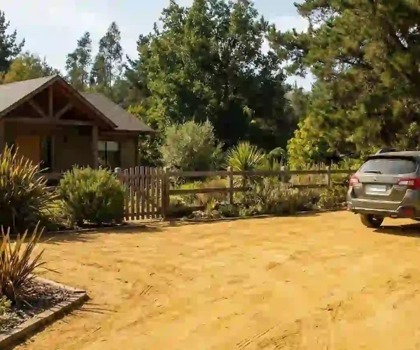 maicillo_amarillo_card_2