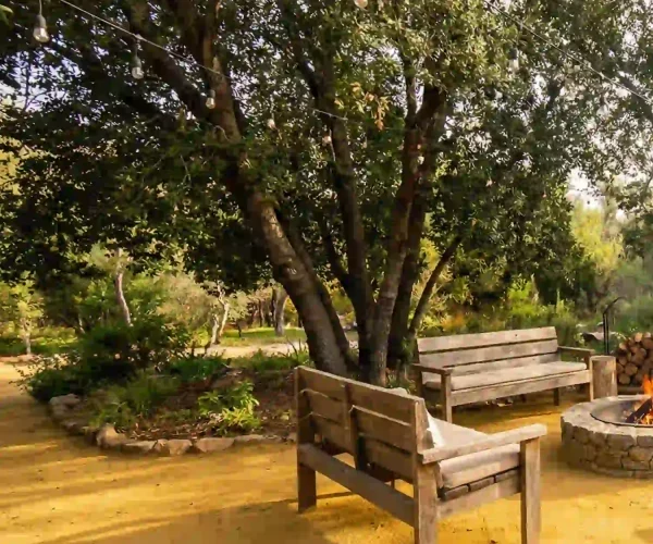 maicillo_amarillo_card_3