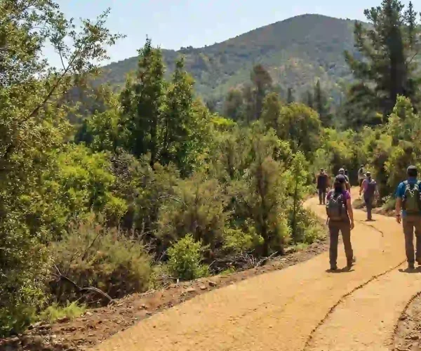 maicillo_caminos_card_2